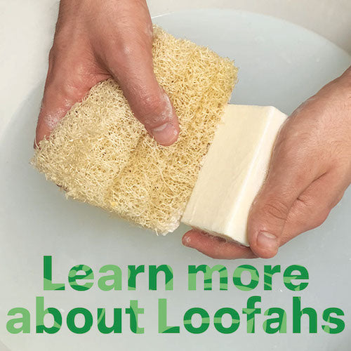 Loofah Know How from LoofCo