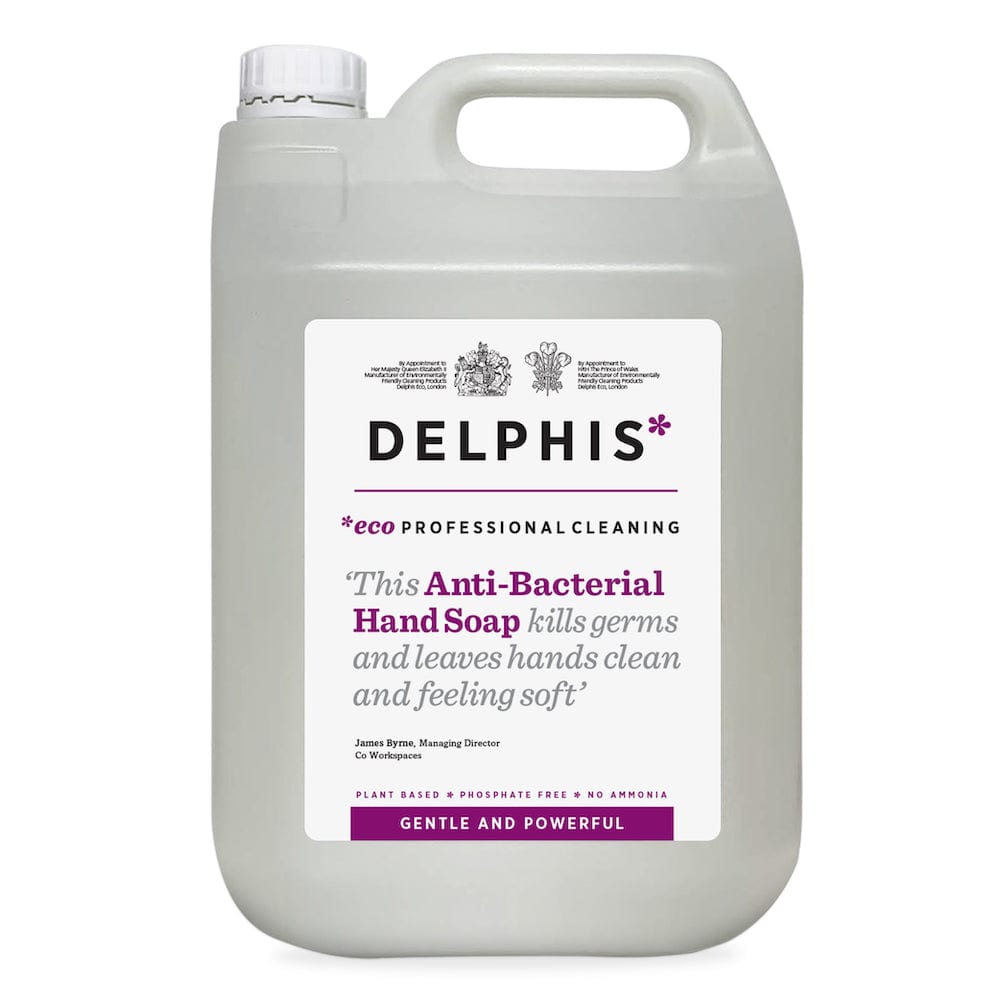 Delphis Eco Anti-Bacterial Hand Soap - 2L Refill &Keep