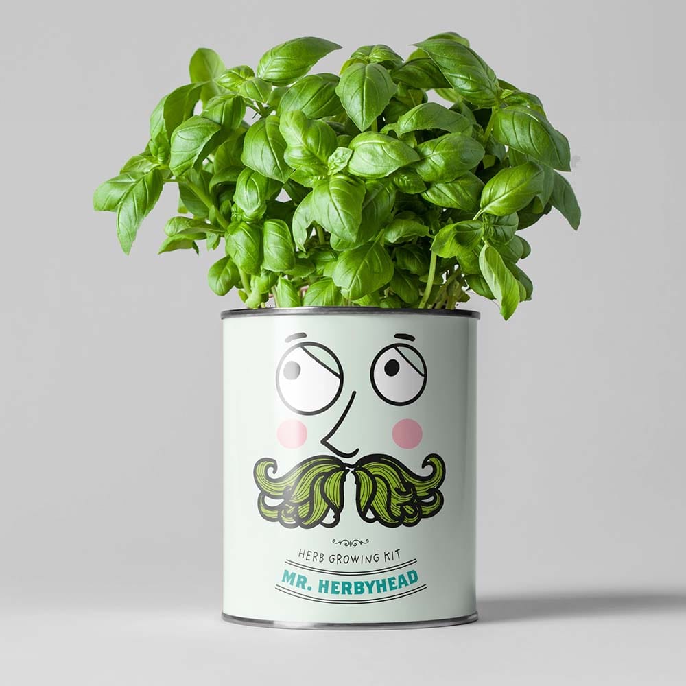 Mr Herbyhead Herb Growing Kit by The Plant Gift Co. &Keep