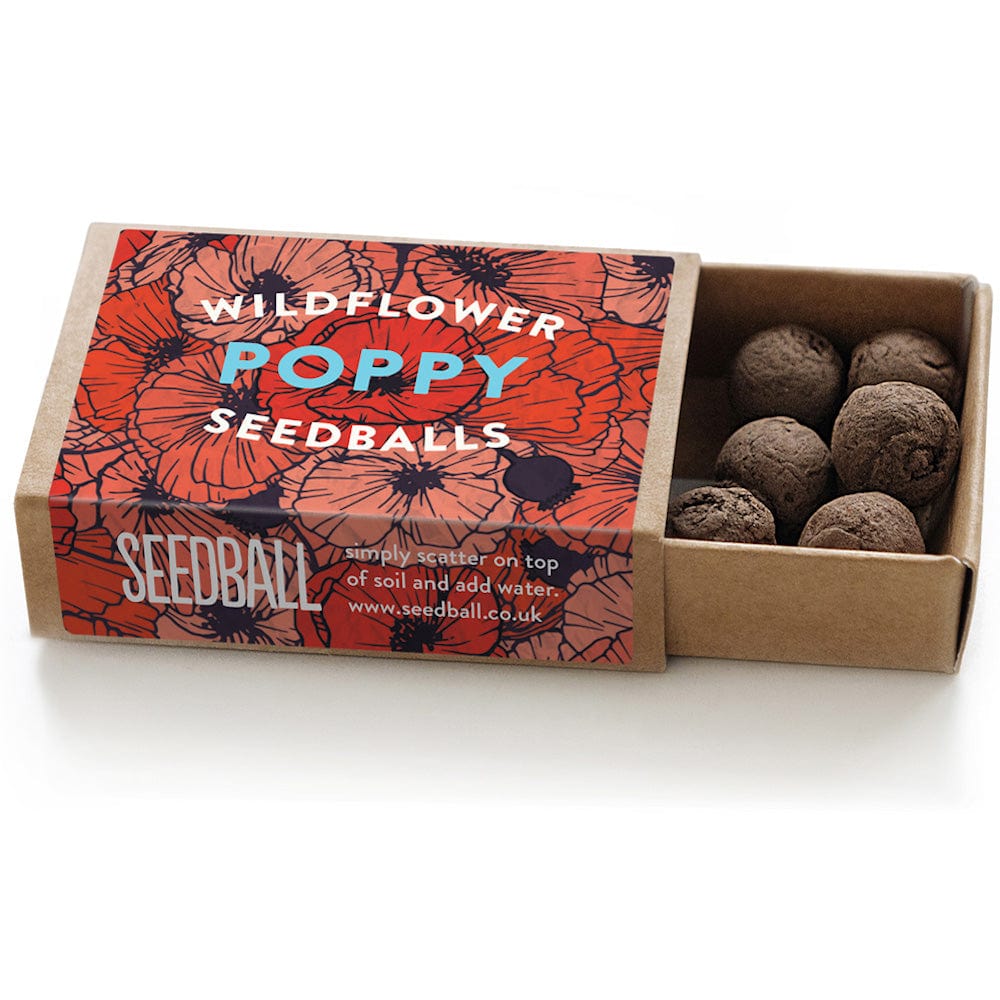 Poppy Seedball Wildflower Boxes &Keep