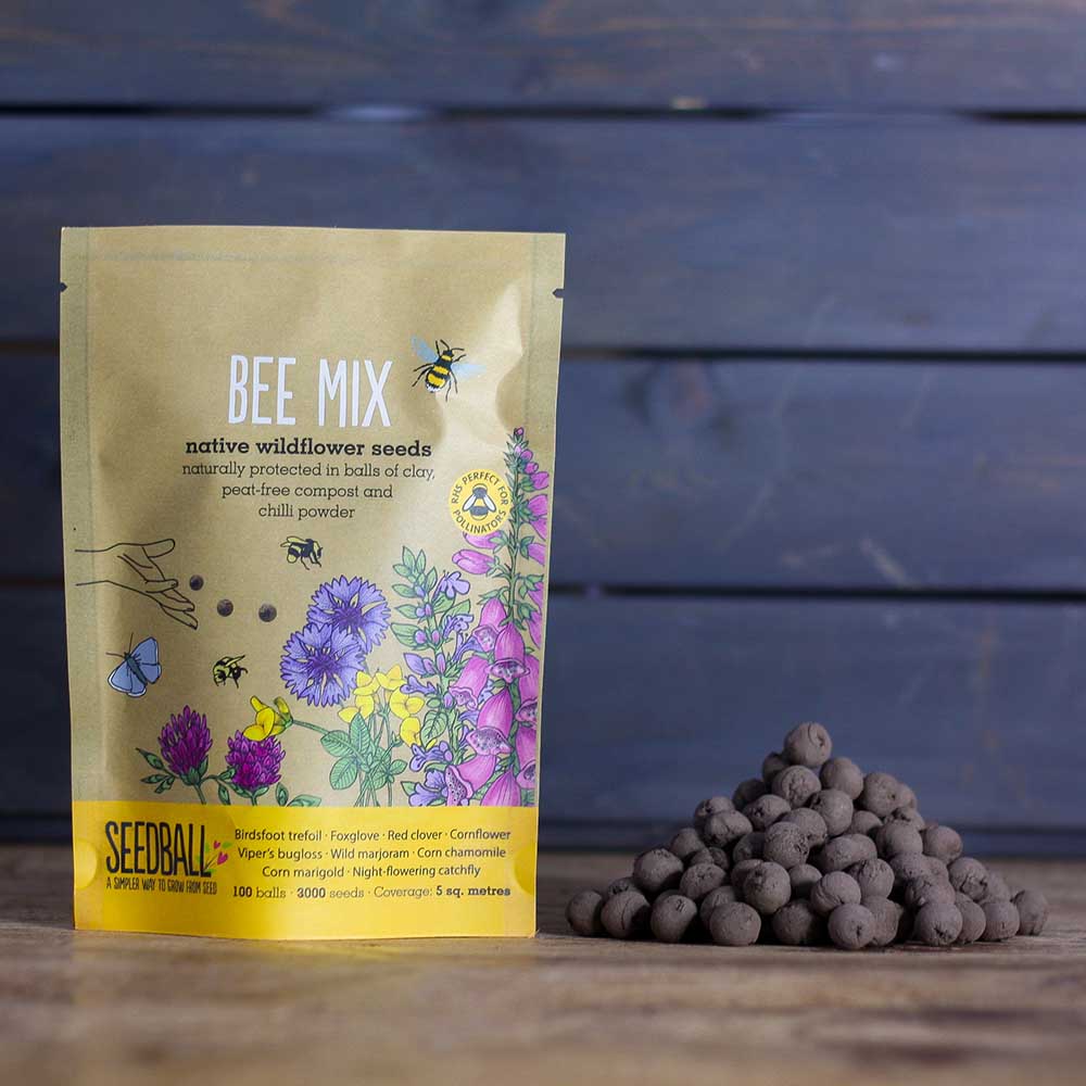 Seedball Wildflower Grab Bag - Bee Mix &Keep