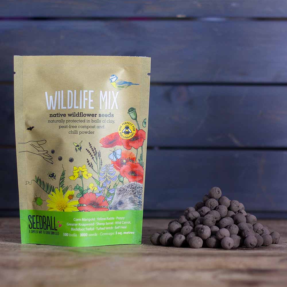 Seedball Wildflower Grab Bag - Wildlife Mix &Keep