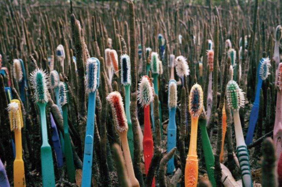Easy Ways to Reduce Your Plastic Footprint #4: Toothbrushes