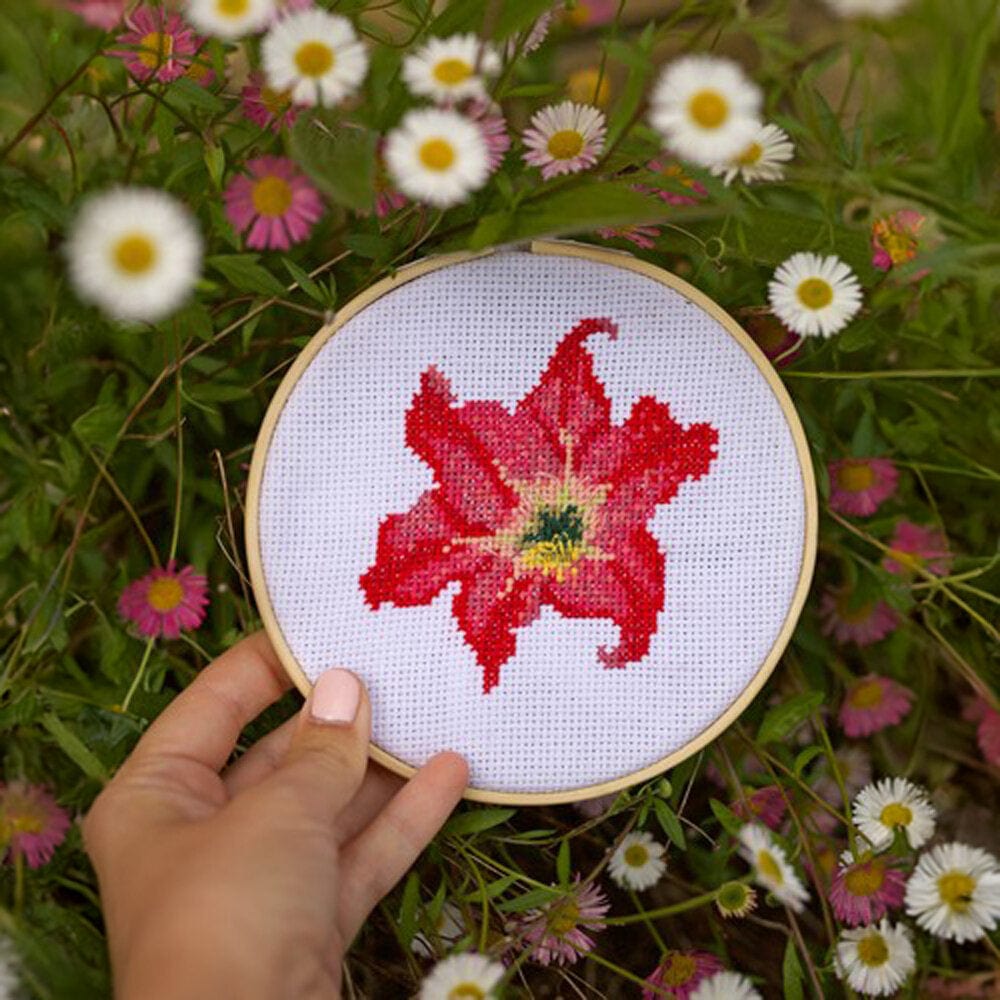 RHS Cross Stitch Kit - Amaryllis &Keep