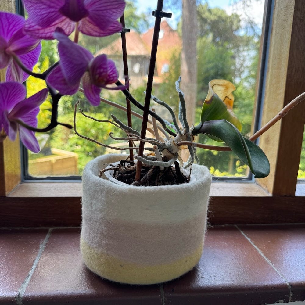 large plant pot covers Striped Wool Felt Plant Pot Cover