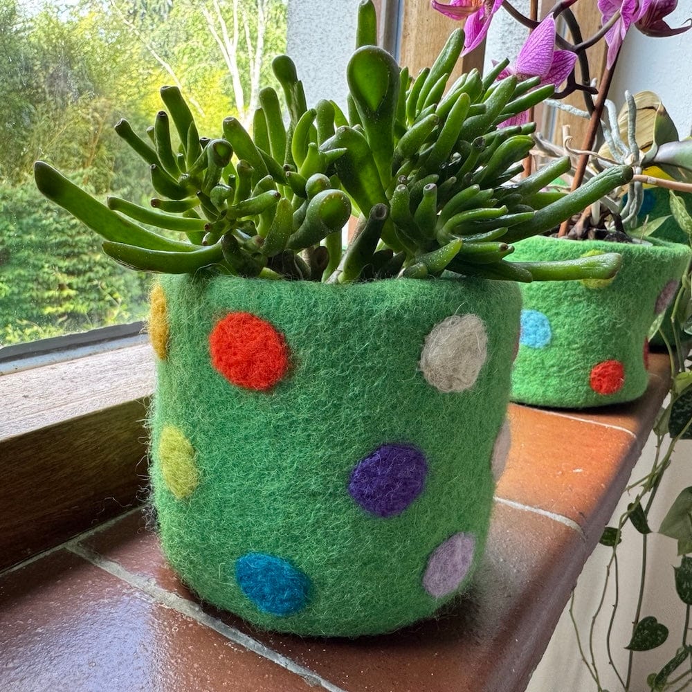 felt pads for plant pots Polka Dot Wool Felt Plant Pot Cover