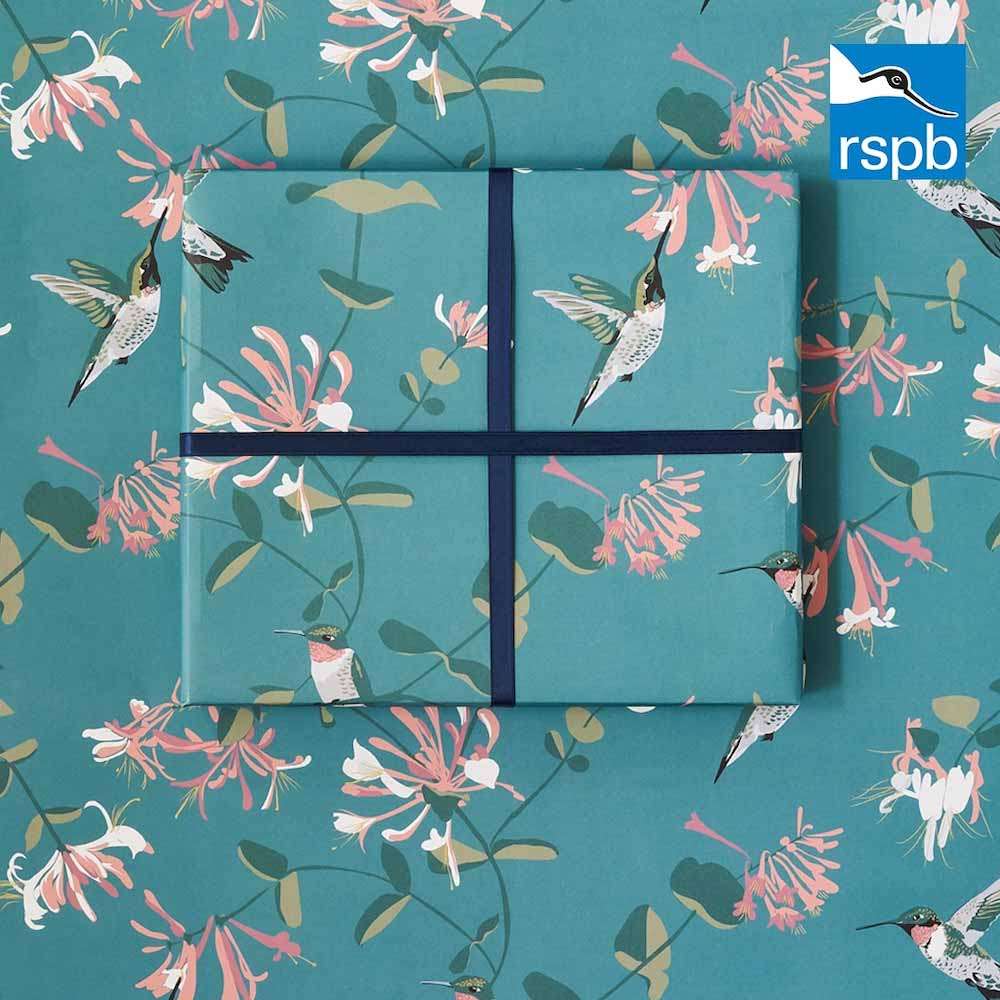 RSPB Hummingbird Teal Wrapping Paper Lorna Syson &Keep