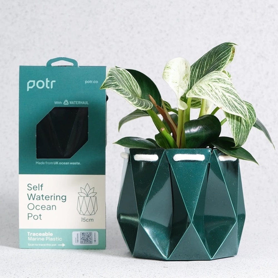deep pot for plants POTR Self Watering Ocean Plant Pot