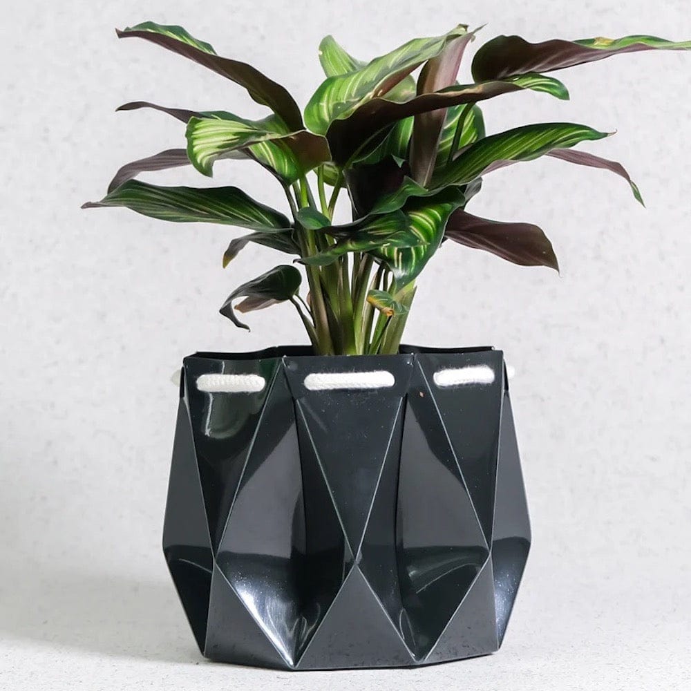 POTR Self Watering Ocean Plant Pot - Midnight Green &Keep