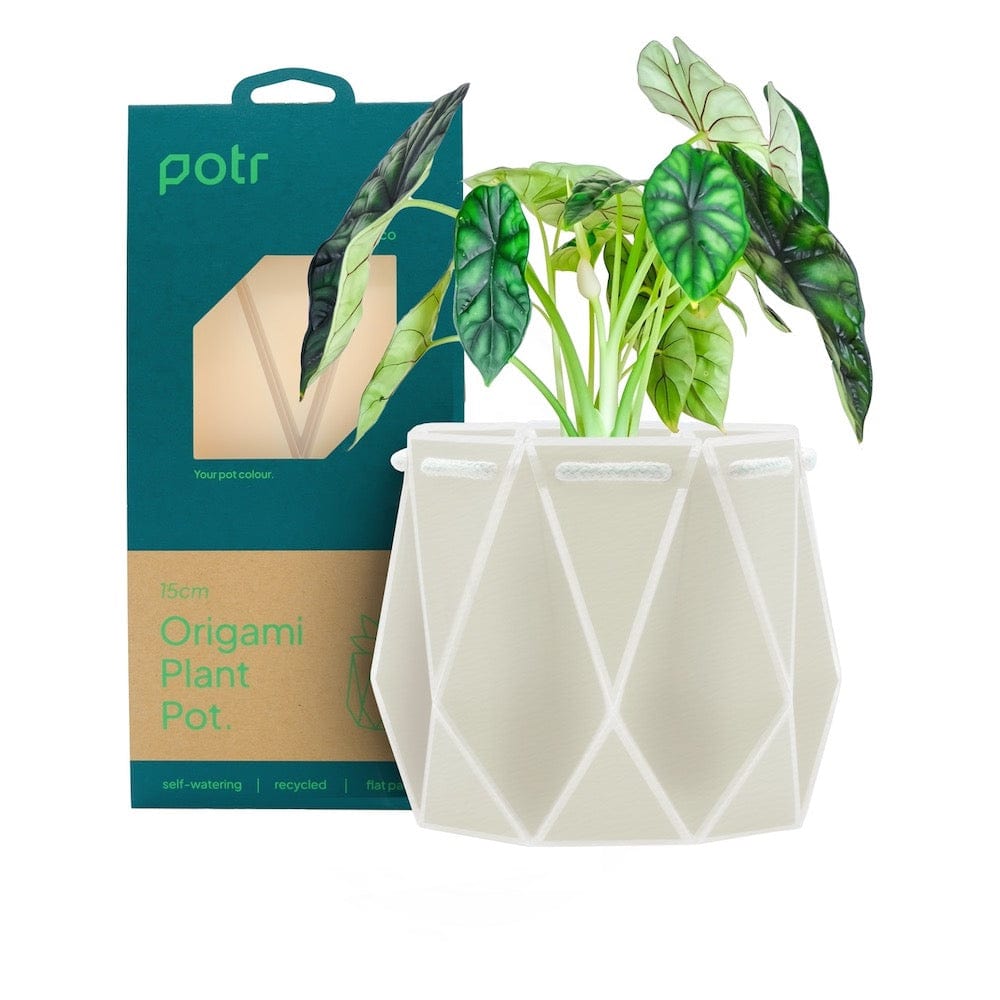 POTR Self Watering Origami Plant Pot - Ivory White &Keep