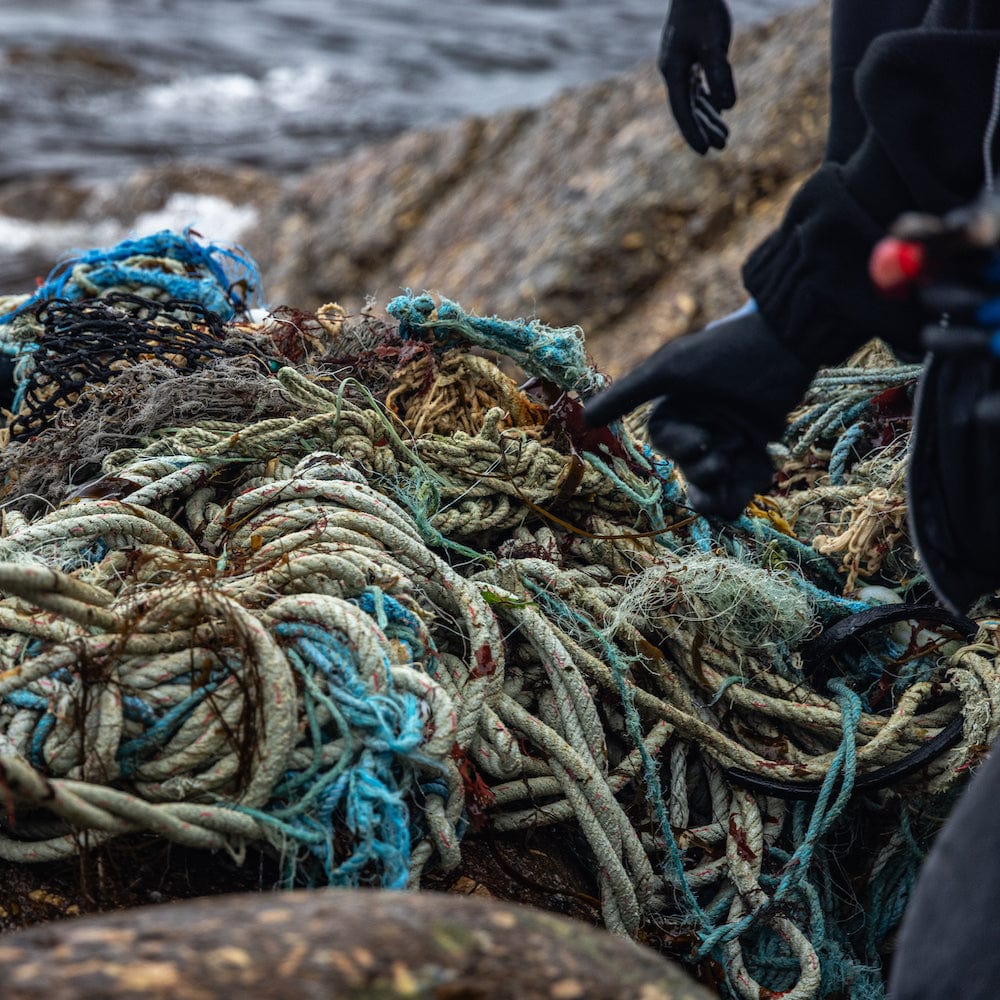 POTR Self Watering Ocean Plant Pot - &Keep