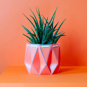 POTR Eco Friendly Self-Watering Flat Pack Recycled Plant Pots | &Keep