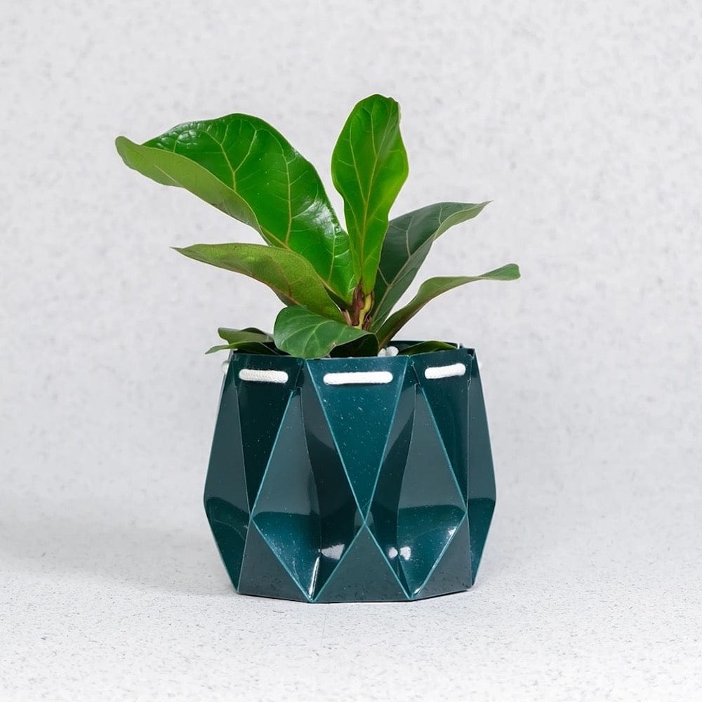 POTR Self Watering Ocean Plant Pot - Deep Green &Keep