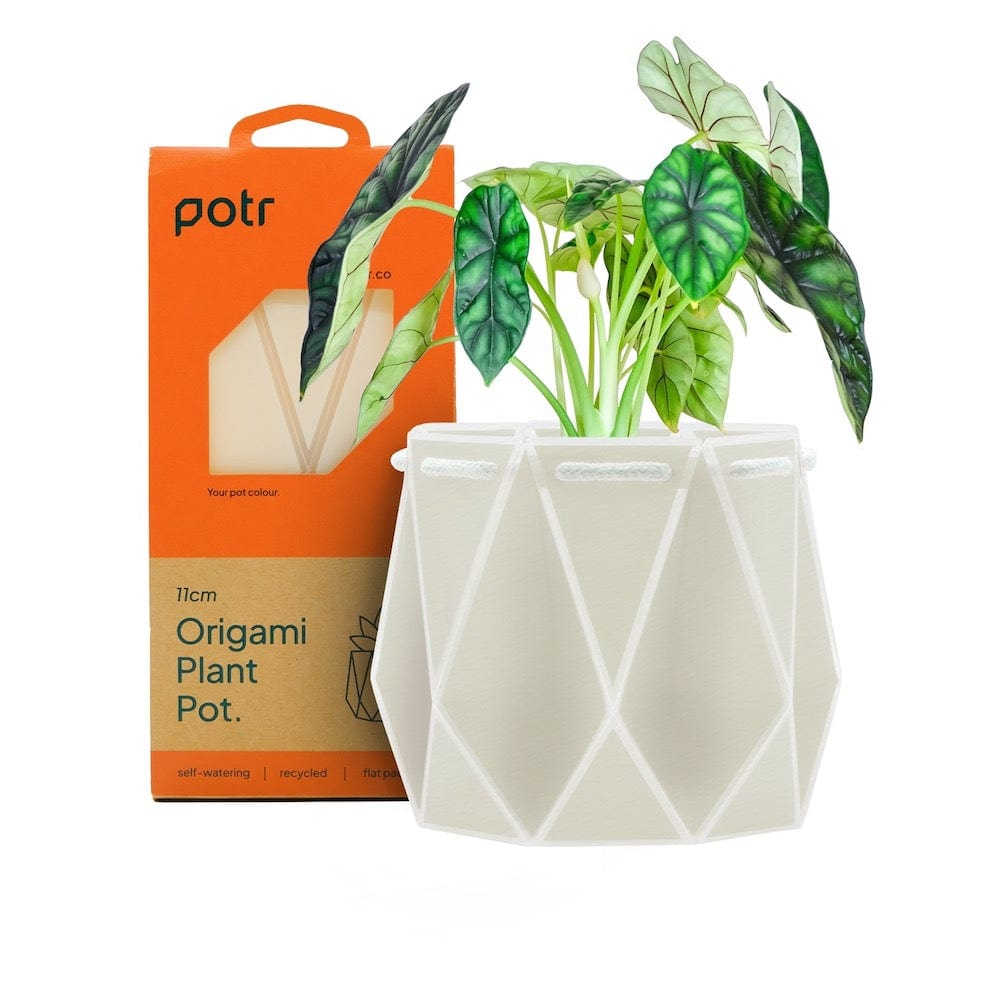 POTR Self Watering Origami Plant Pot - Ivory White &Keep