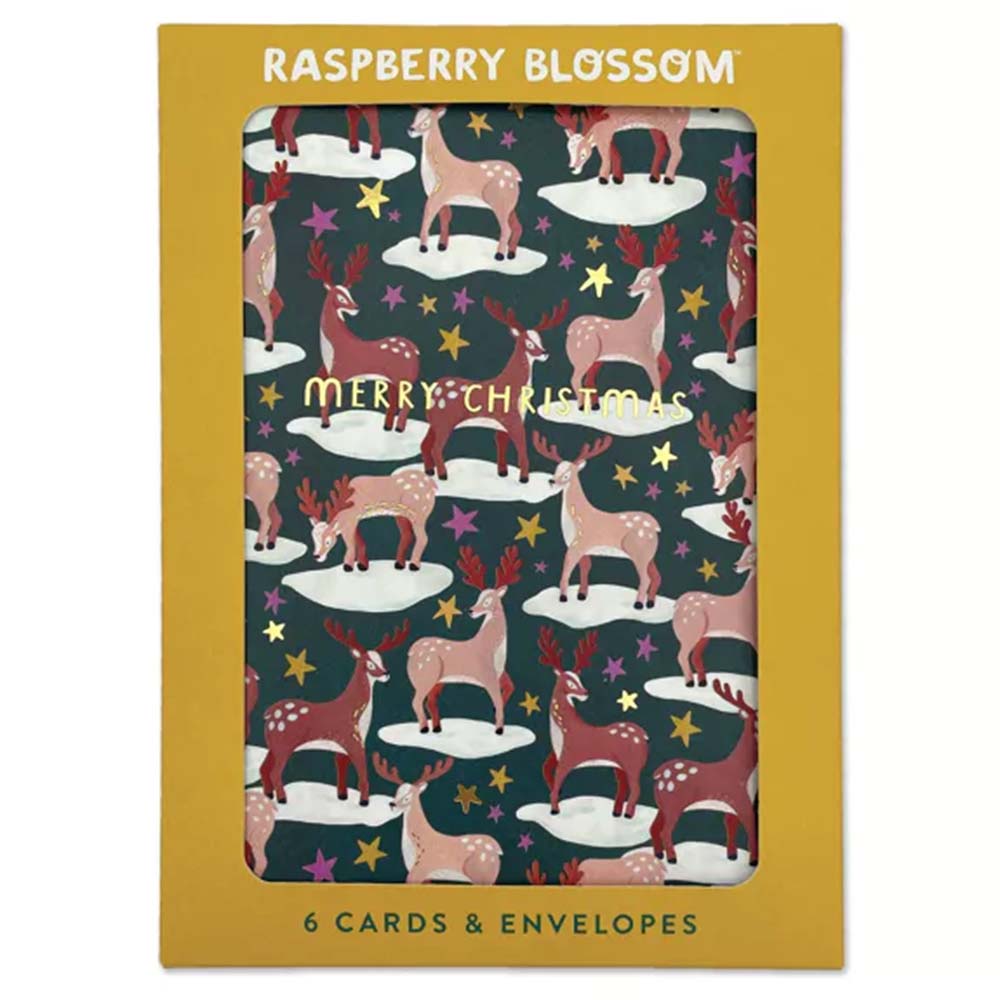 Merry Christmas/Most Wonderful Time Box of 6 Christmas Cards Raspberry Blossom &Keep