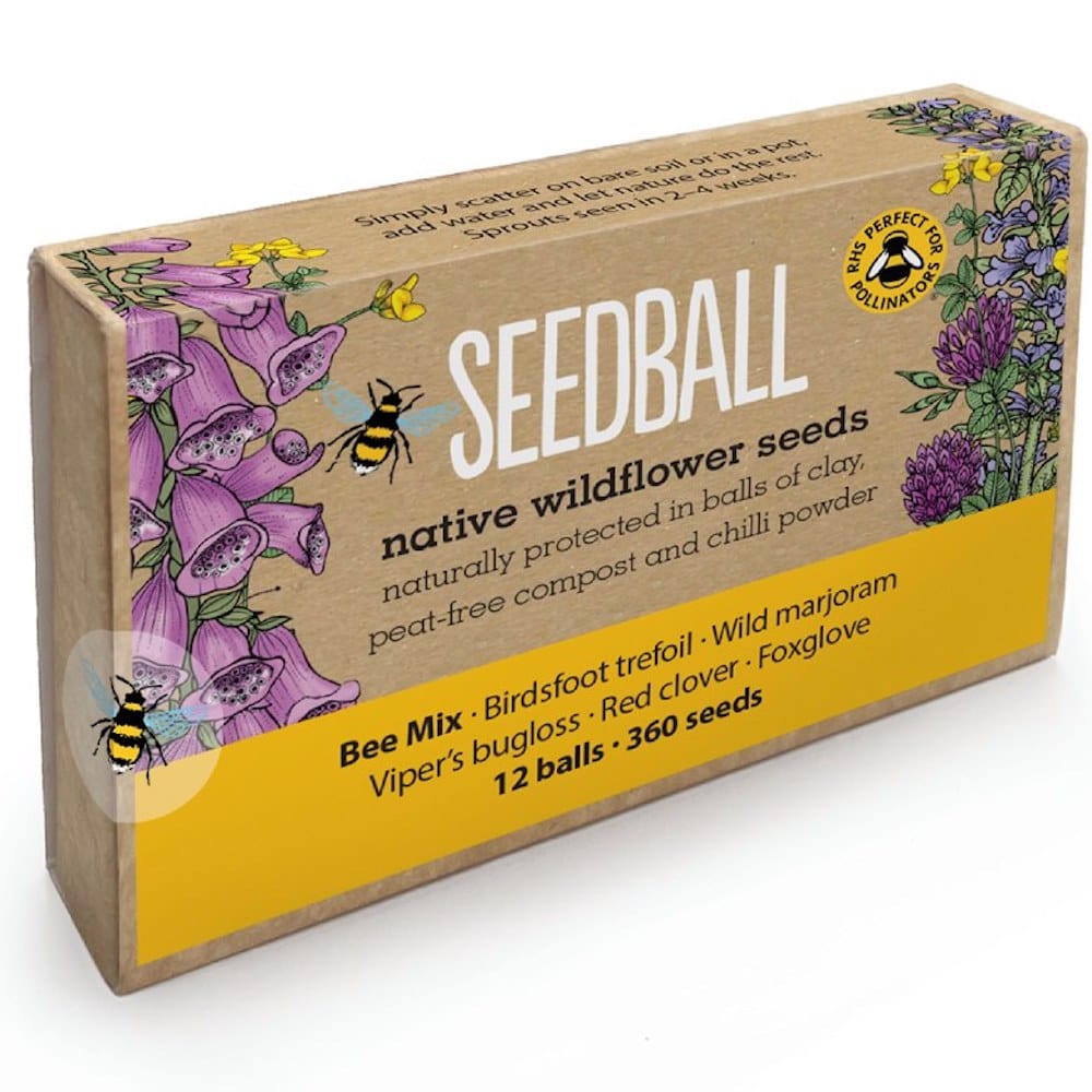 Seedball Wildflower Mixes - Large Gift Boxes Bee Mix &Keep