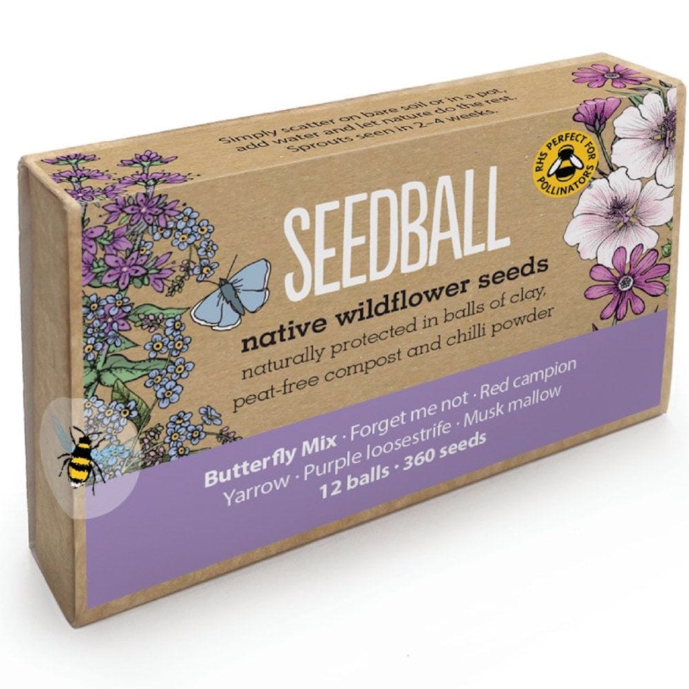 Seedball Wildflower Mixes - Large Gift Boxes Butterfly Mix &Keep