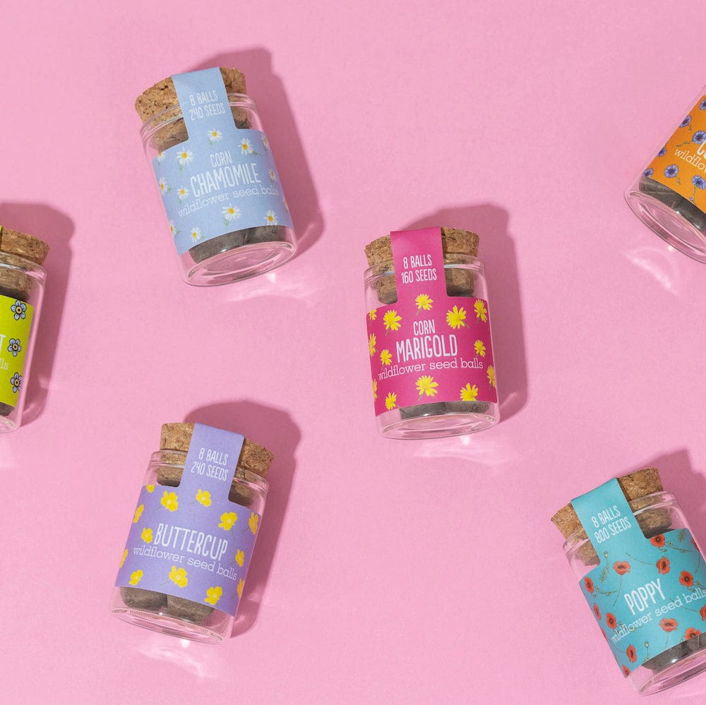 Seedball Wildflower Jars &Keep