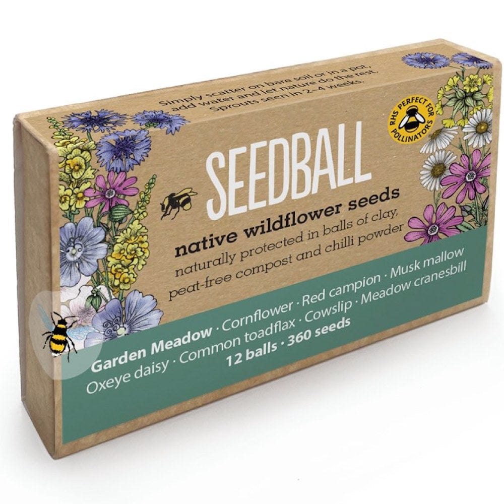 Seedball Wildflower Mixes - Large Gift Boxes Garden Meadow &Keep