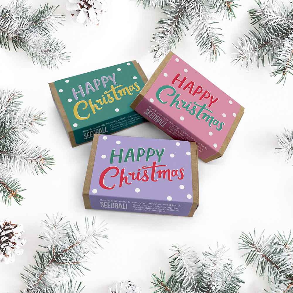 Happy Christmas Wildflower Box