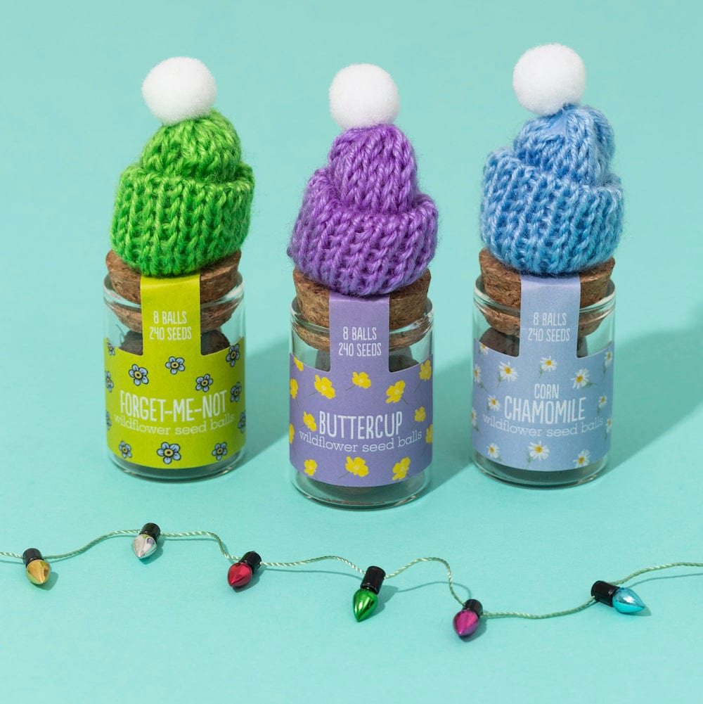 Seedball Wildflower Jars &Keep