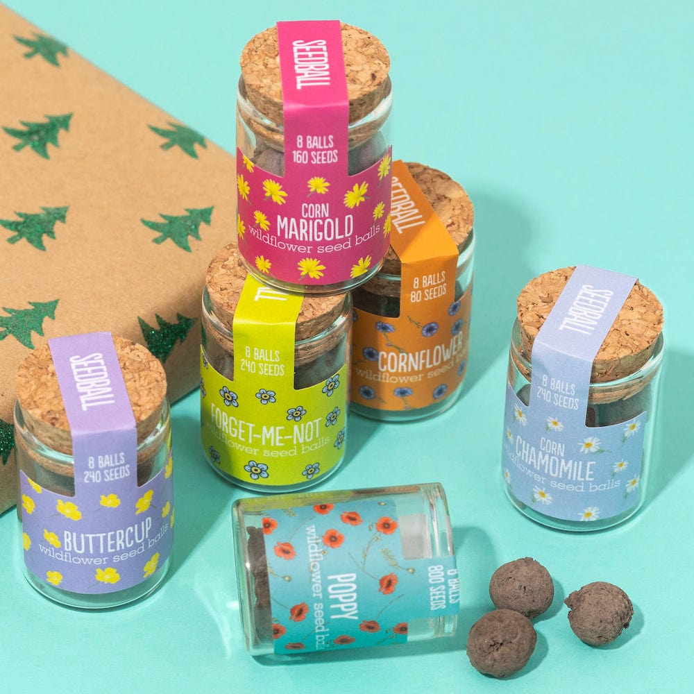 Seedball Wildflower Jars &Keep
