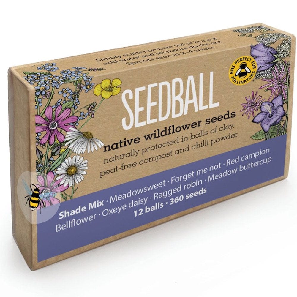 Seedball Wildflower Mixes - Large Gift Boxes Shade Mix &Keep