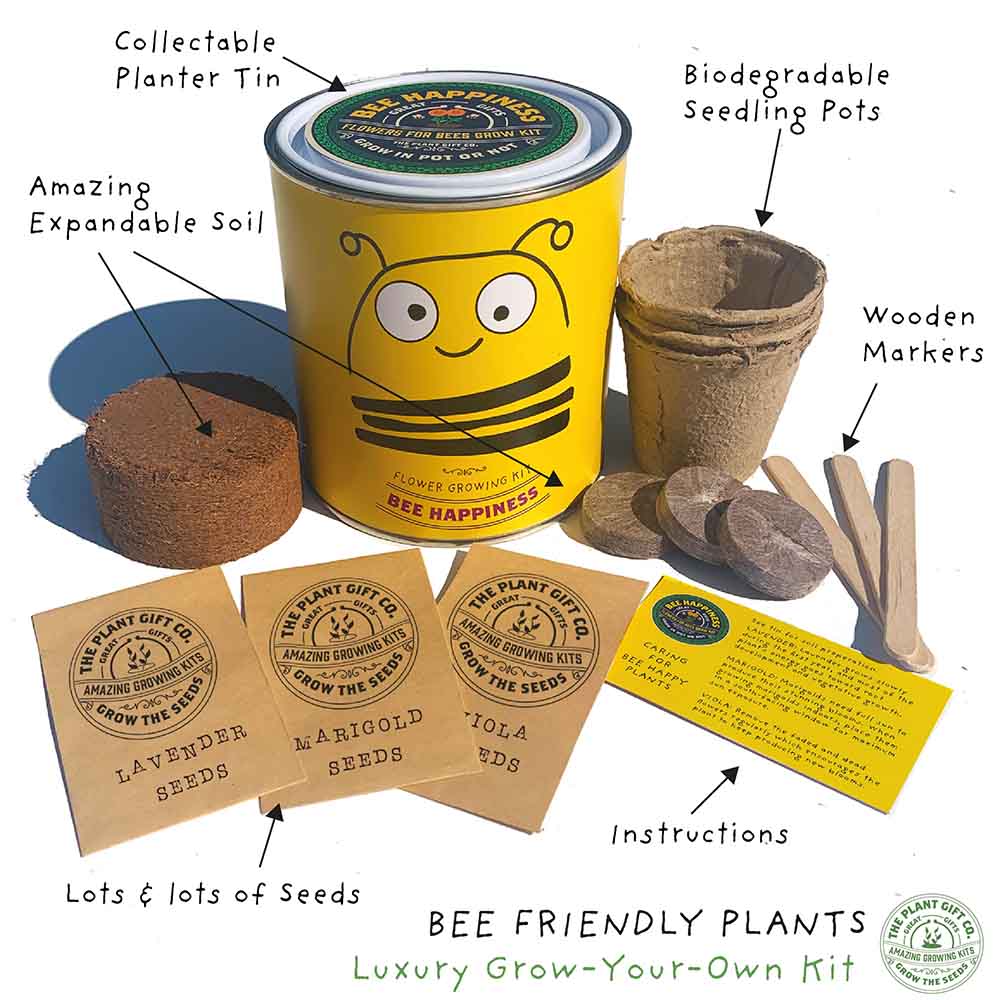 Bee Happiness Flower Growing Kit by The Plant Gift Co. &Keep