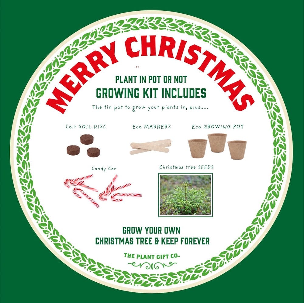 Christmas Tree Growing Kit by The Plant Gift Co. &Keep