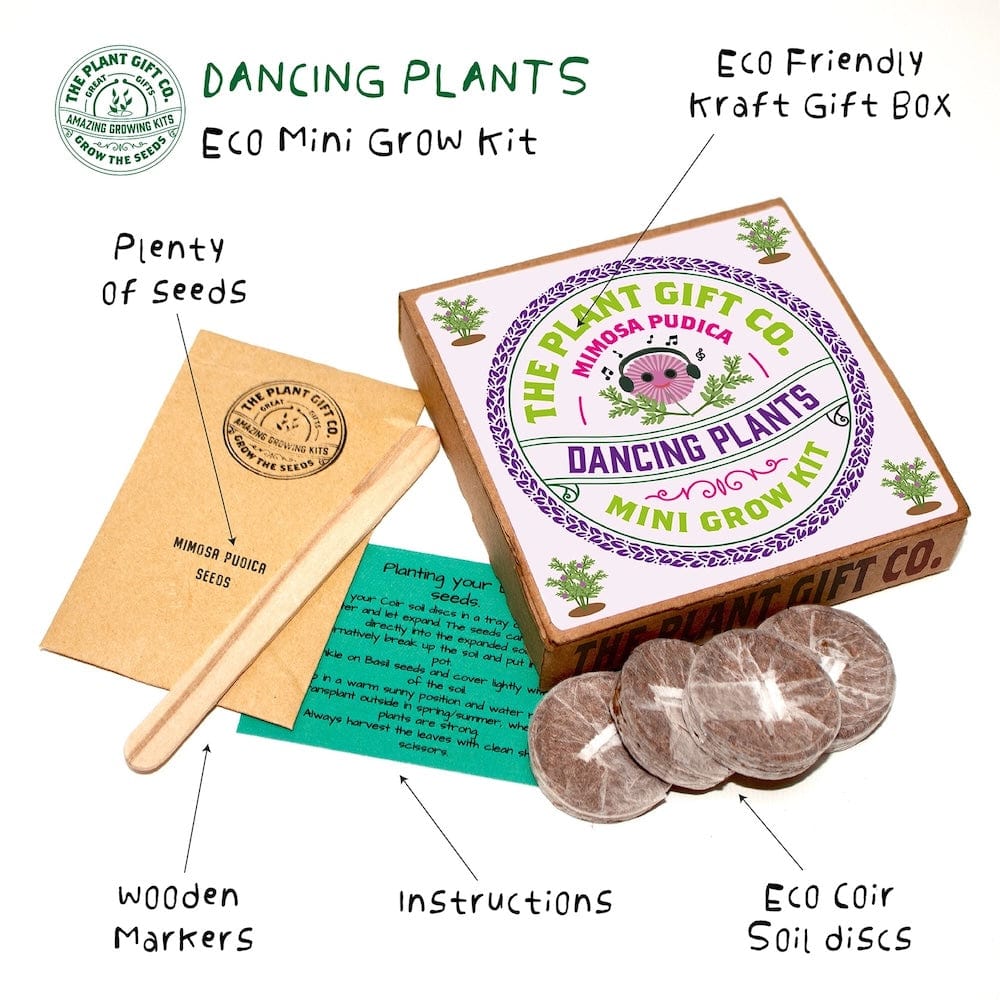 Dancing Plants Mini Grow Kit by The Plant Gift Co. &Keep