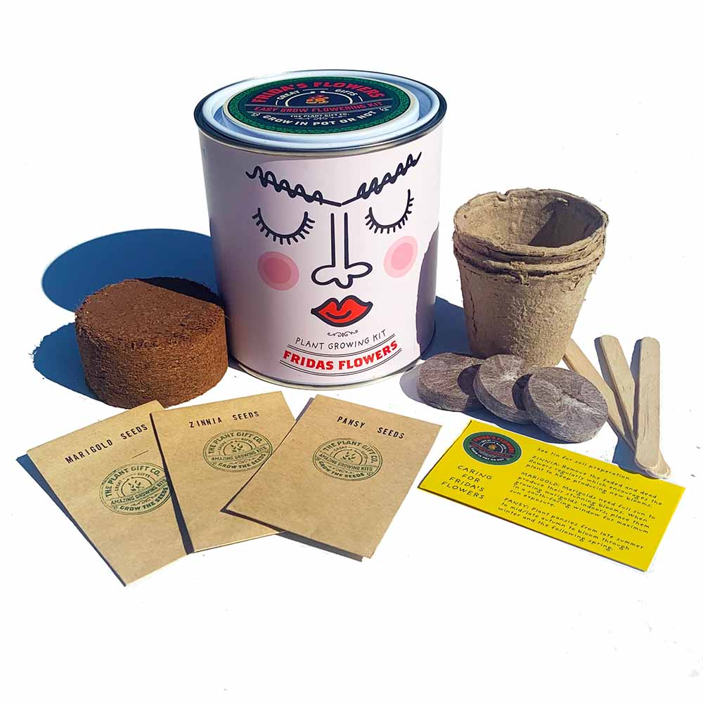 Frieda's Flowers Growing Kit by The Plant Gift Co. &Keep