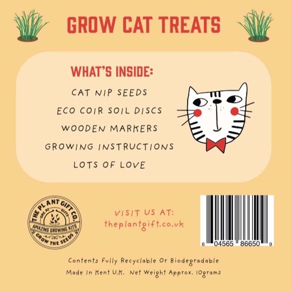 Grow Cat Treats Mini Grow Kit by The Plant Gift Co. &Keep