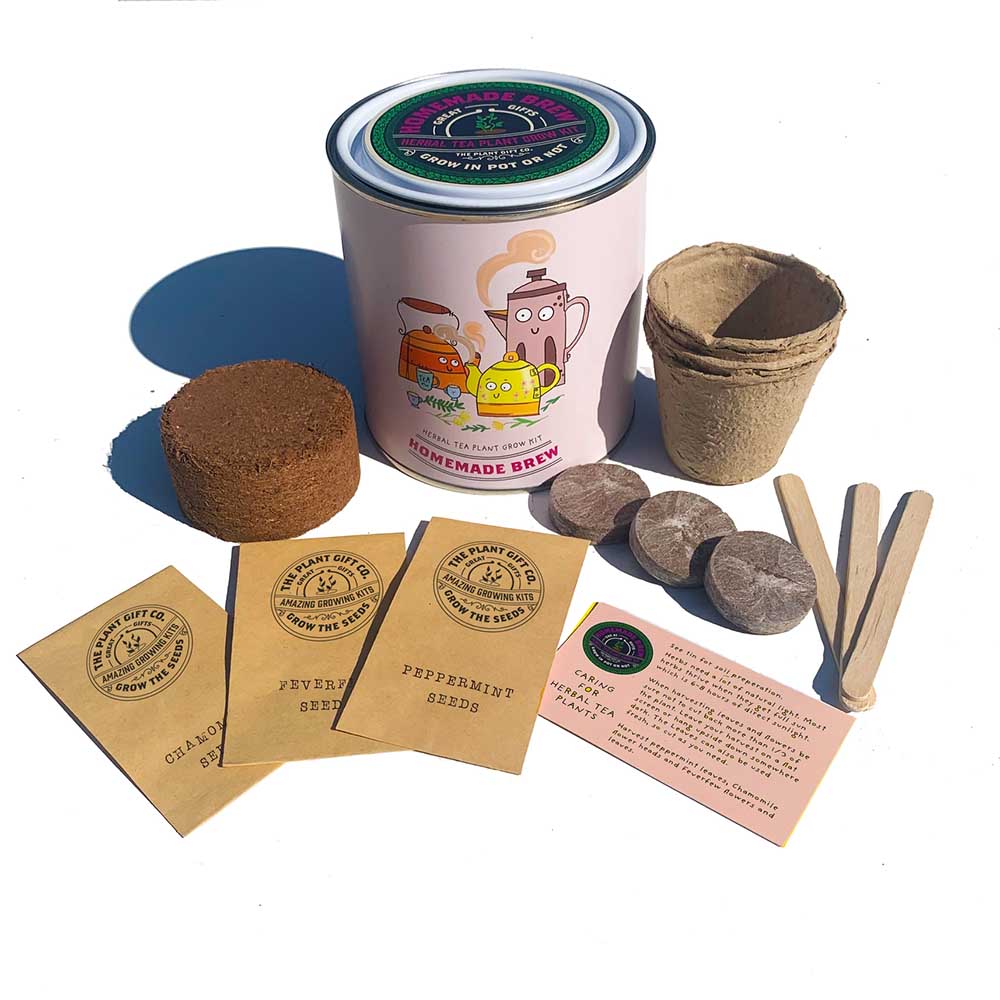 Homemade Brew Herbal Tea Plant Growing Kit by The Plant Gift Co. &Keep