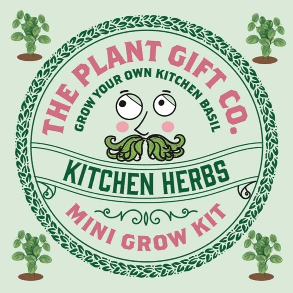 Kitchen Herbs Mini Grow Kit Co.