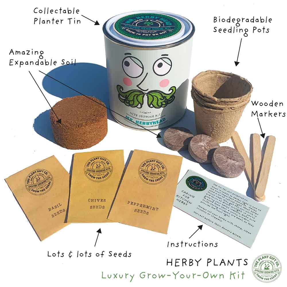 Mr Herbyhead Herb Growing Kit by The Plant Gift Co. &Keep