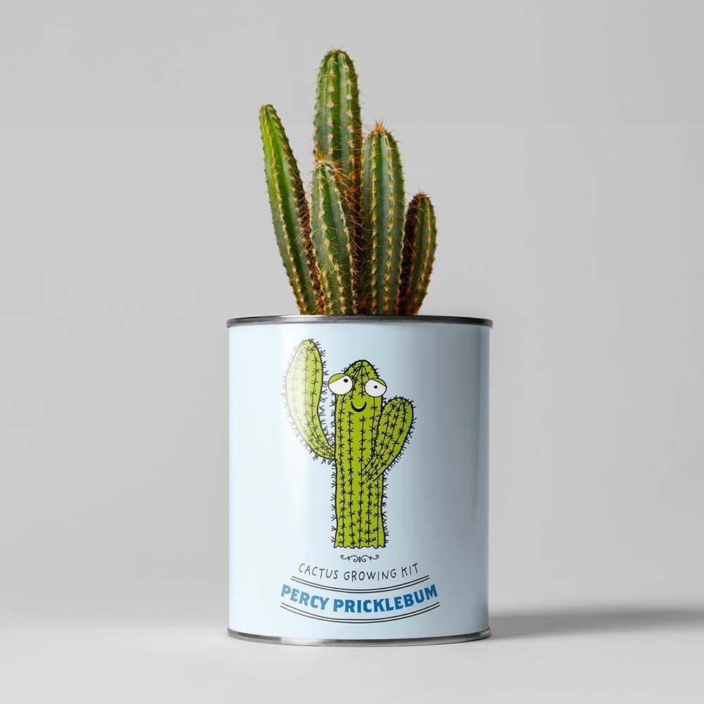 Percy Pricklebum Cactus Growing Kit by The Plant Gift Co. &Keep