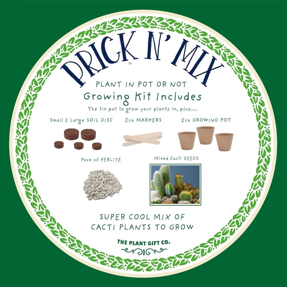 Prick N' Mix Cactus Plants Growing Kit by The Plant Gift Co. &Keep