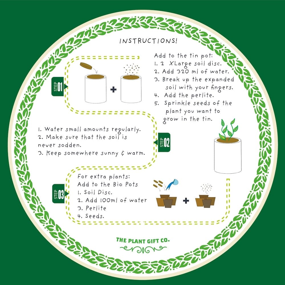 Prick N' Mix Cactus Plants Growing Kit by The Plant Gift Co. &Keep