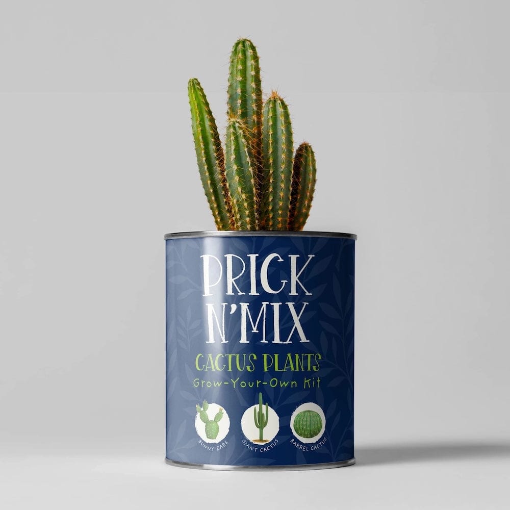 Prick N' Mix Cactus Plants Growing Kit by The Plant Gift Co. &Keep
