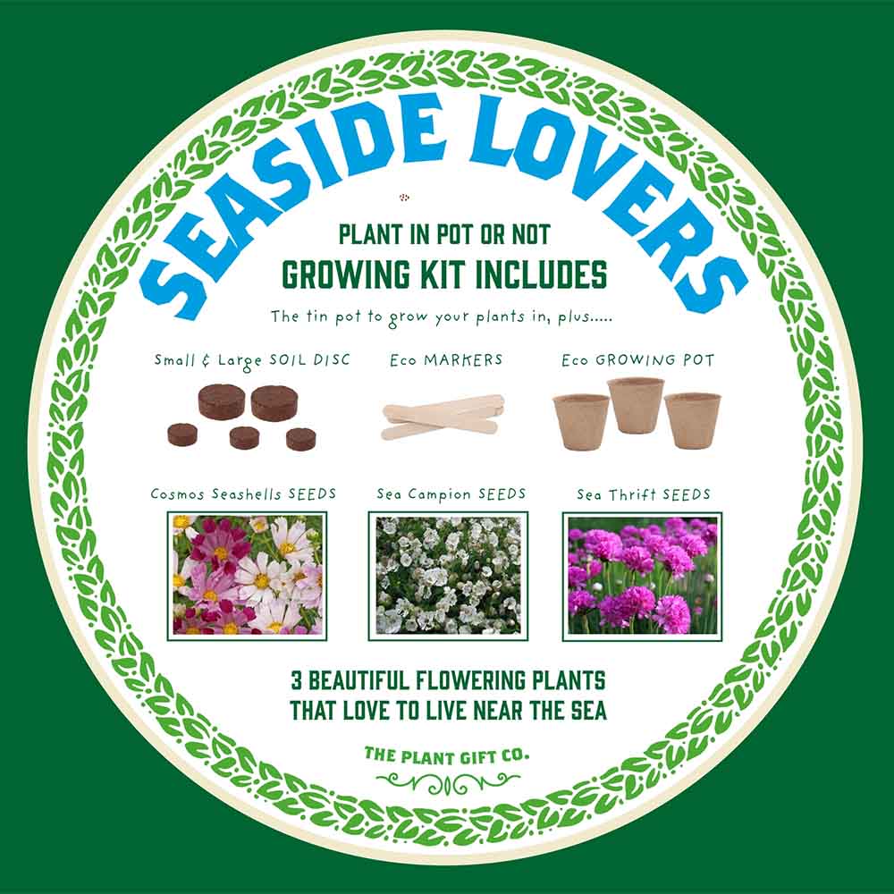 Seaside Lovers Coastal Plants Growing Kit by The Plant Gift Co. &Keep