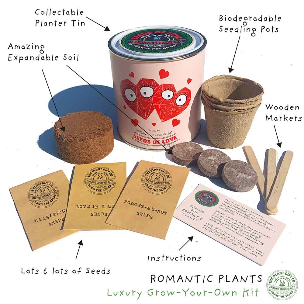 plant seed gifts Seeds of Love Growing Kit by The Plant Gift Co. Valentines Eco