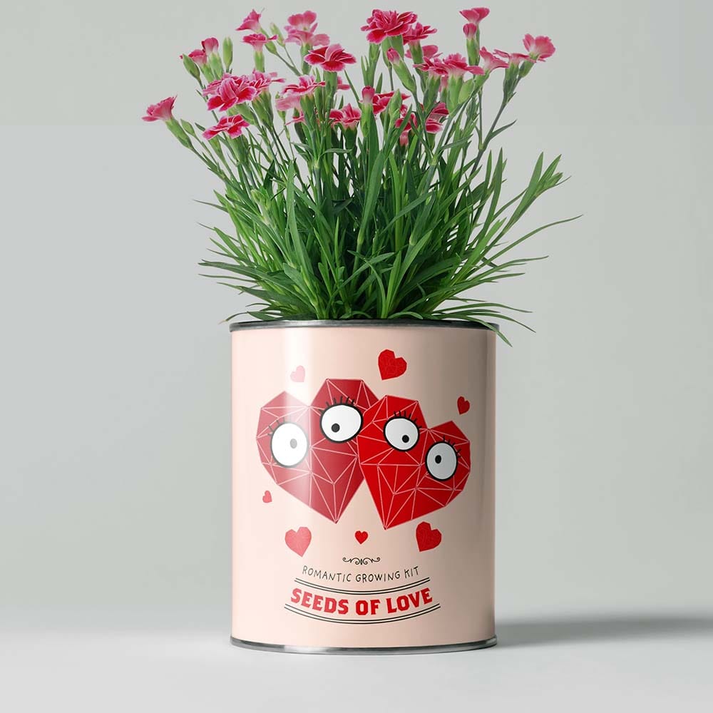 Seeds Love Growing Kit Co.