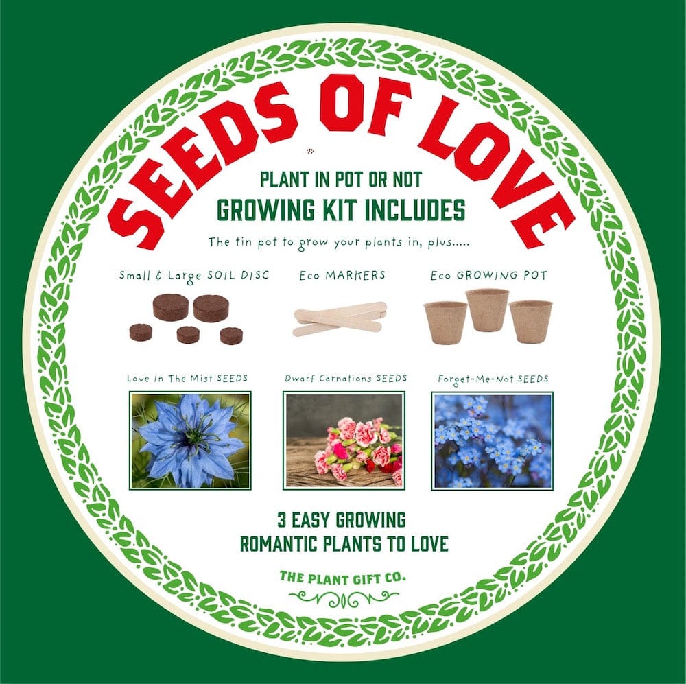 planting seeds of love in my heart Seeds of Love Growing Kit by The Plant Gift Co. Valentines Eco