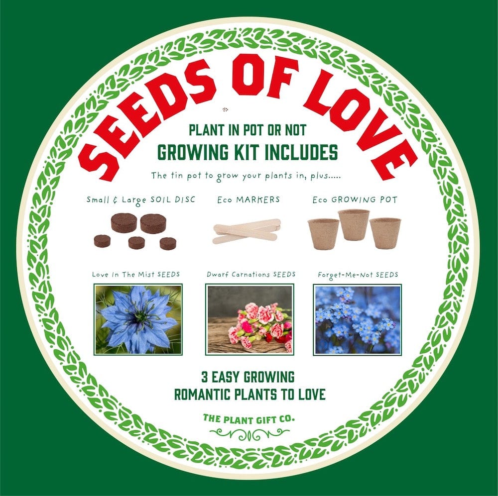 Seeds of Love Growing Kit by The Plant Gift Co. &Keep