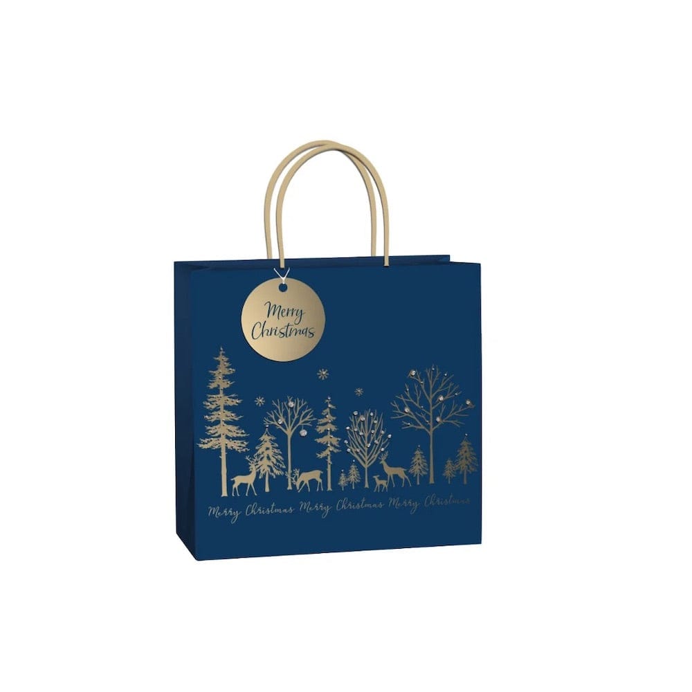 Medium Luxe Navy & Gold Gift Bag &Keep