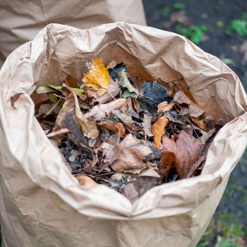 Compostable Garden Waste Paper Bags &Keep