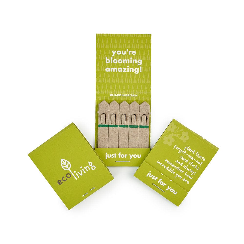 Forget Me Not Seed Sticks