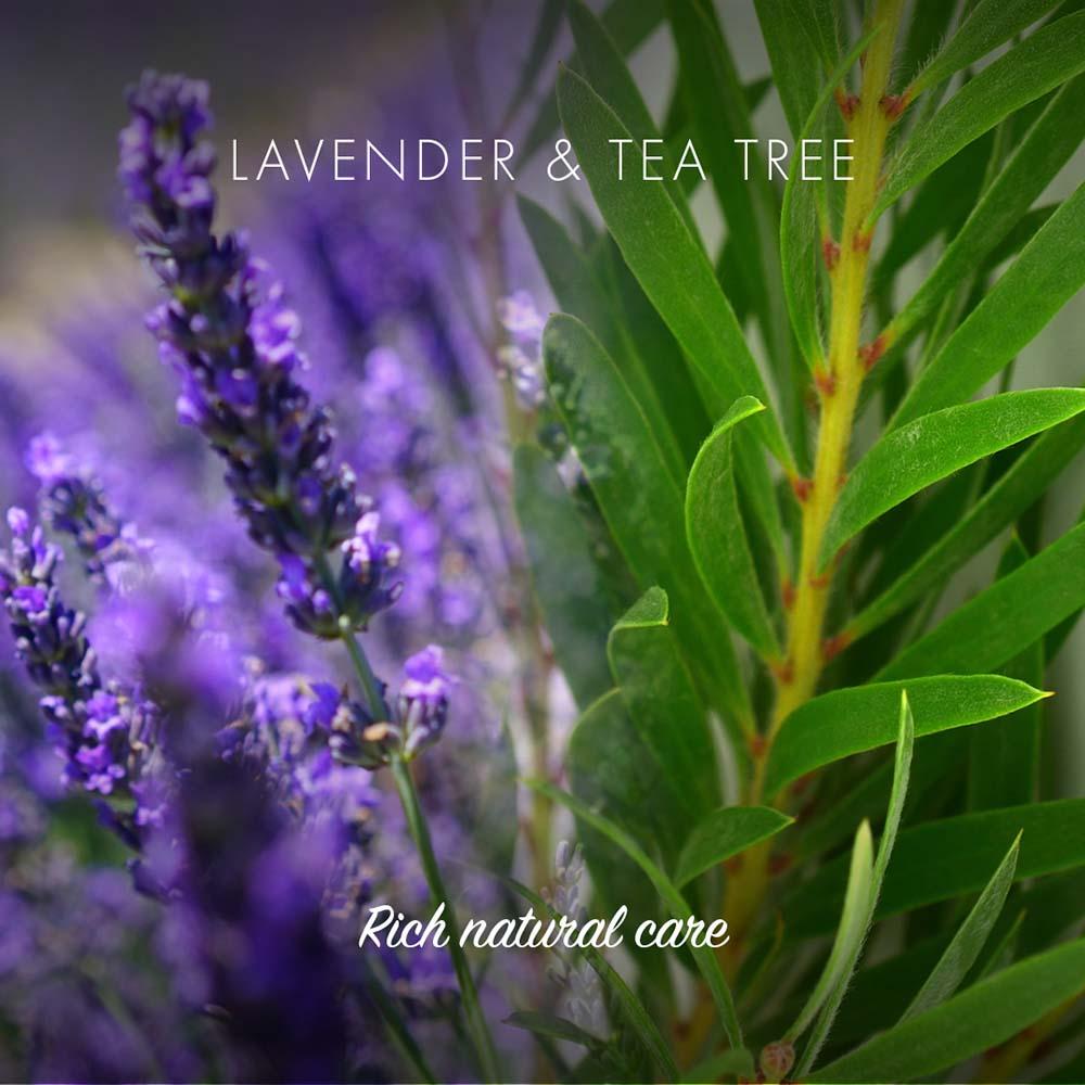 Friendly Soap - Lavender & Tea Tree Shampoo Bar &Keep