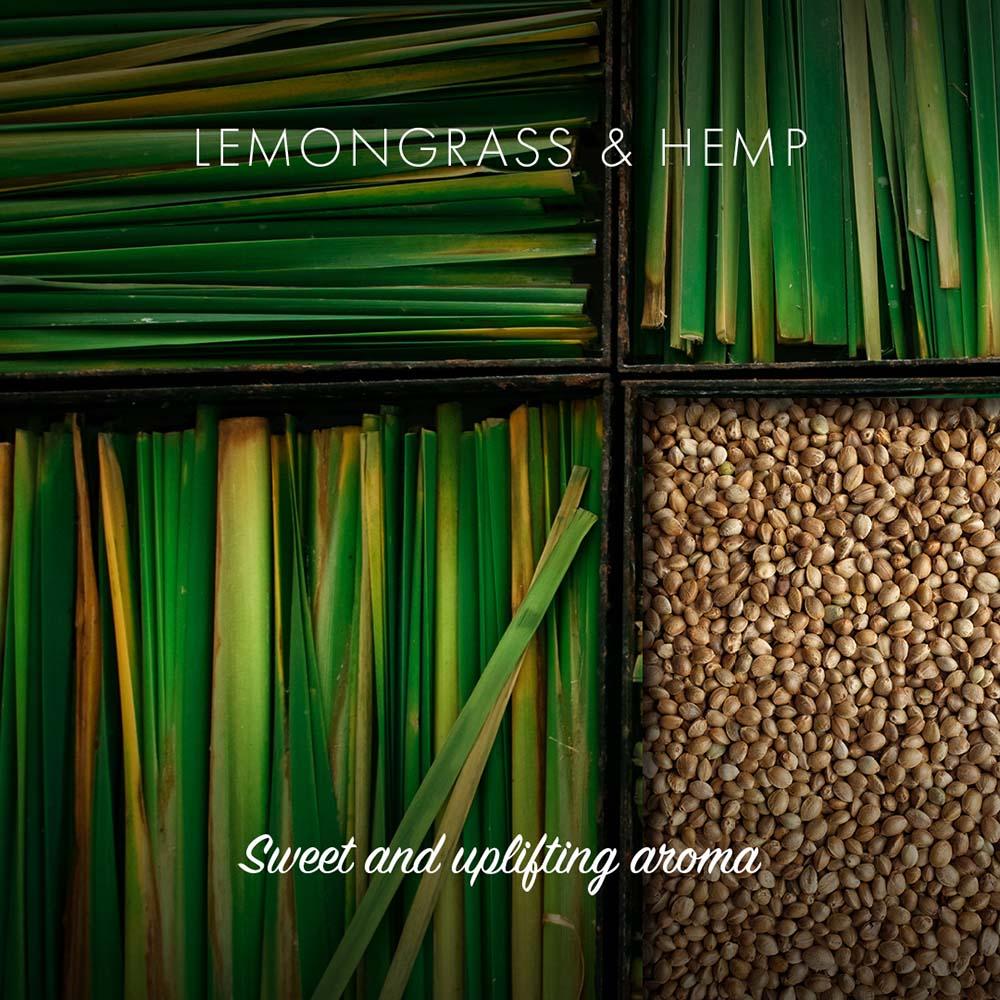 Friendly Soap - Lemongrass & Hemp &Keep