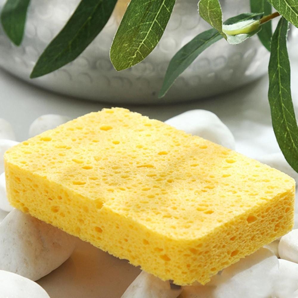 Compostable Household Sponges &Keep